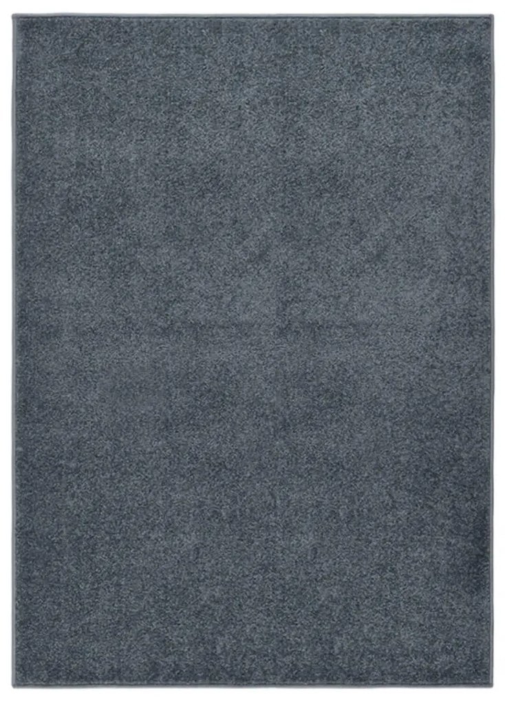 340307 vidaXL Tapete de pelo curto 120x170 cm antracite