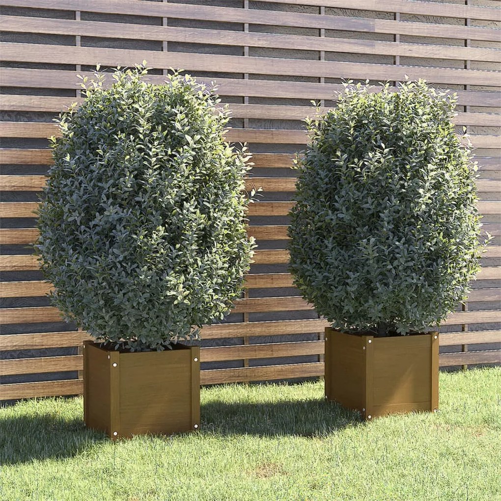 vidaXL Vasos/floreiras 2 pcs 40x40x40 cm pinho maciço castanho mel