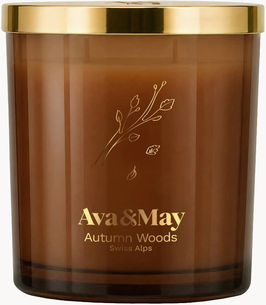 Vela perfumada grande Autumn Woods (pera, patchouli, madeira de cedro)