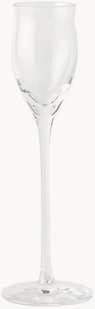 Copos de grappa Q2, conjunto de 6