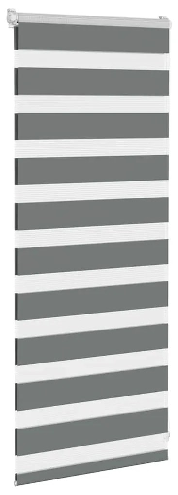 Cortina de zebra 60x100 cm largura do tecido 55,9 cm poliéster