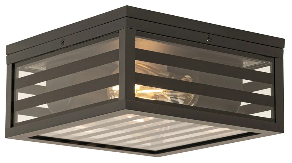 Candeeiro de teto exterior moderno preto em vidro 2 luzes IP44 - Reims Moderno