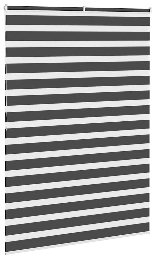 Cortina de zebra 160x200 cm largura do tecido 155,9cm poliéster