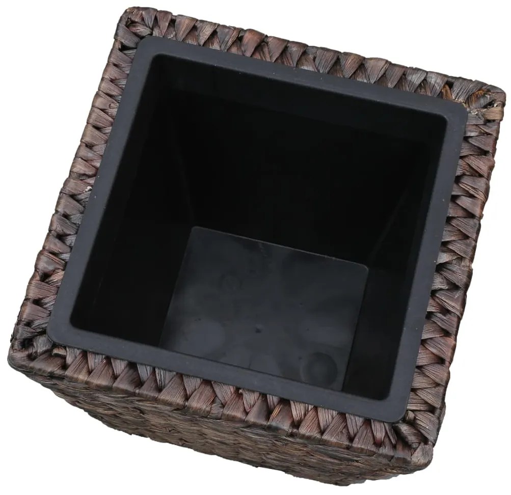 Vasos/floreiras 3 pcs jacinto de água castanho