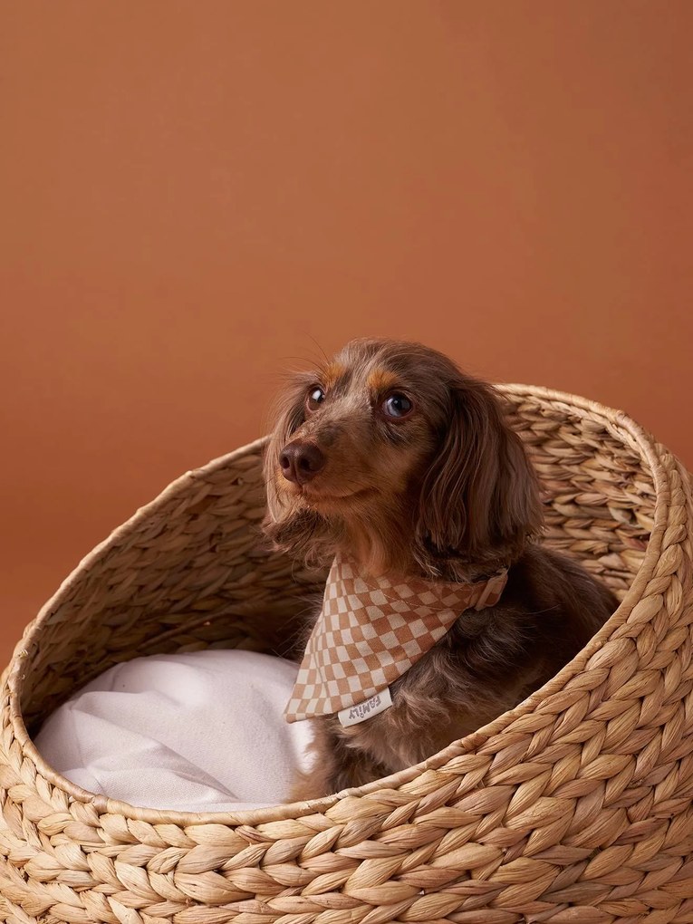 Coleira bandana axadrezada Family, para cão   quadrados castanhos