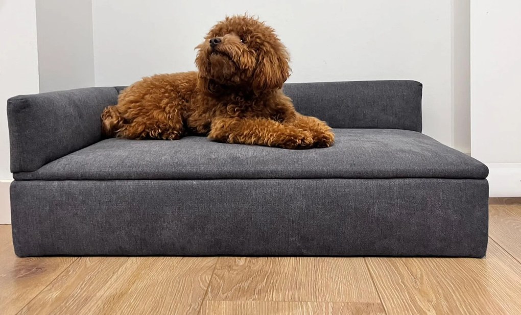 Sofá Cama DUQUE, 71x42x24cm, Sofá Cama para Cães Pequenos ou Médios - Sofá Cama para Animais de Estimação, Cães ou Gatos, Tecido Especial e Resistente