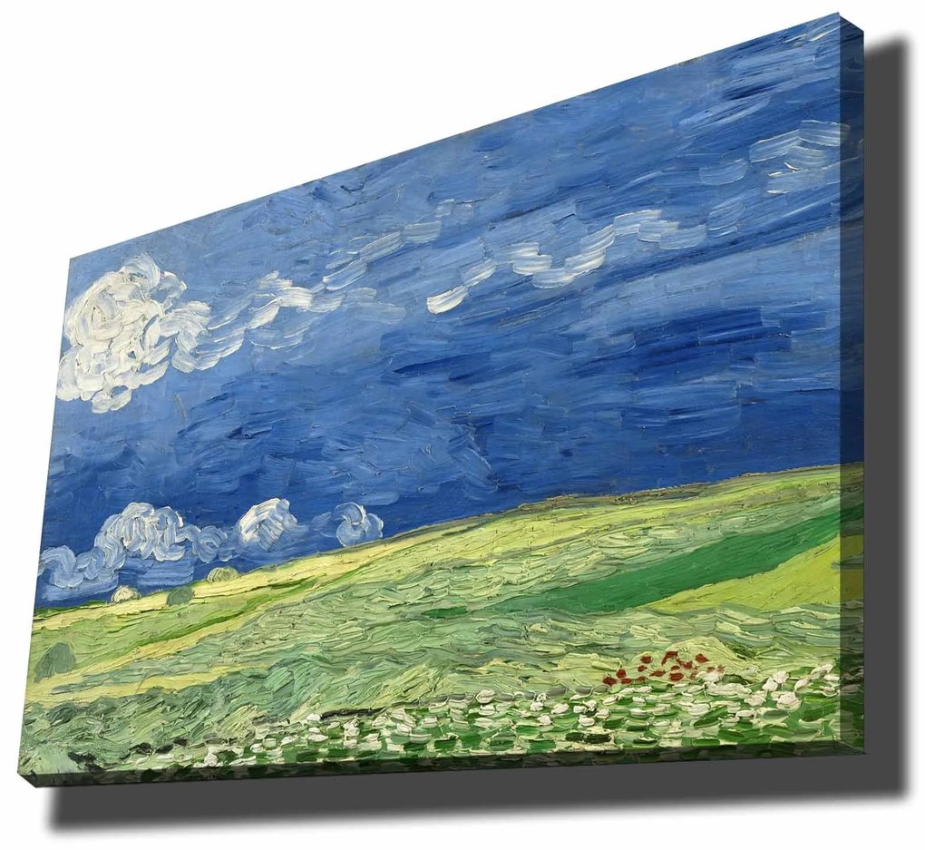 Quadro Decorativo 70100VANGOGH011 – Multicolor – 70 x 100 cm