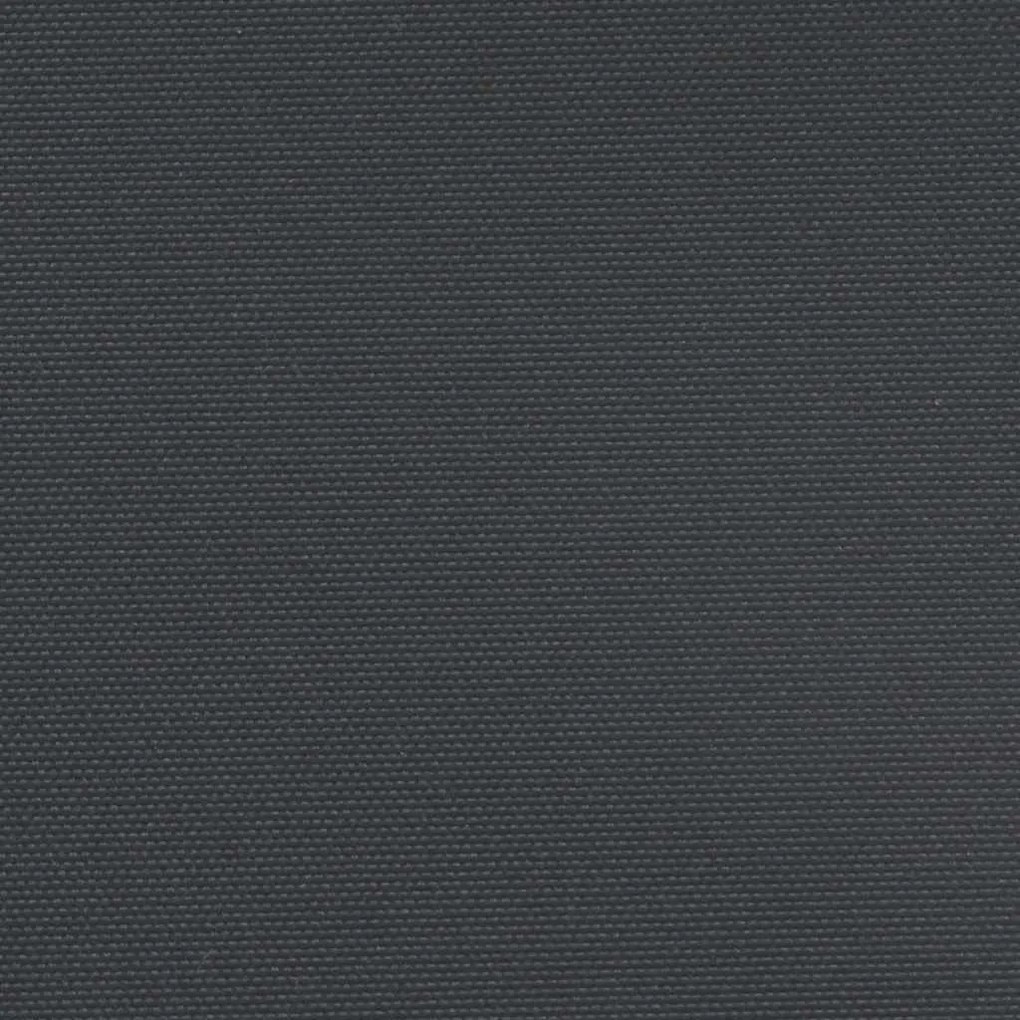 Toldo lateral retrátil 100x500 cm preto