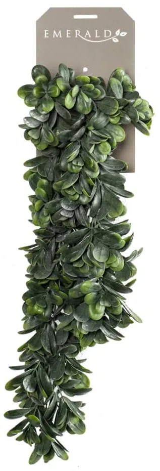 Crassula artificial 80 cm