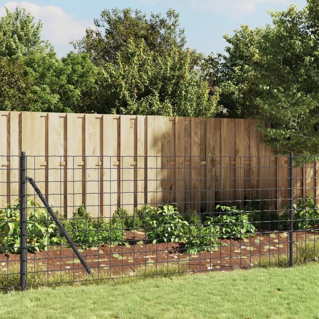 Cerca de malha de arame 1x25 m aço galvanizado antracite
