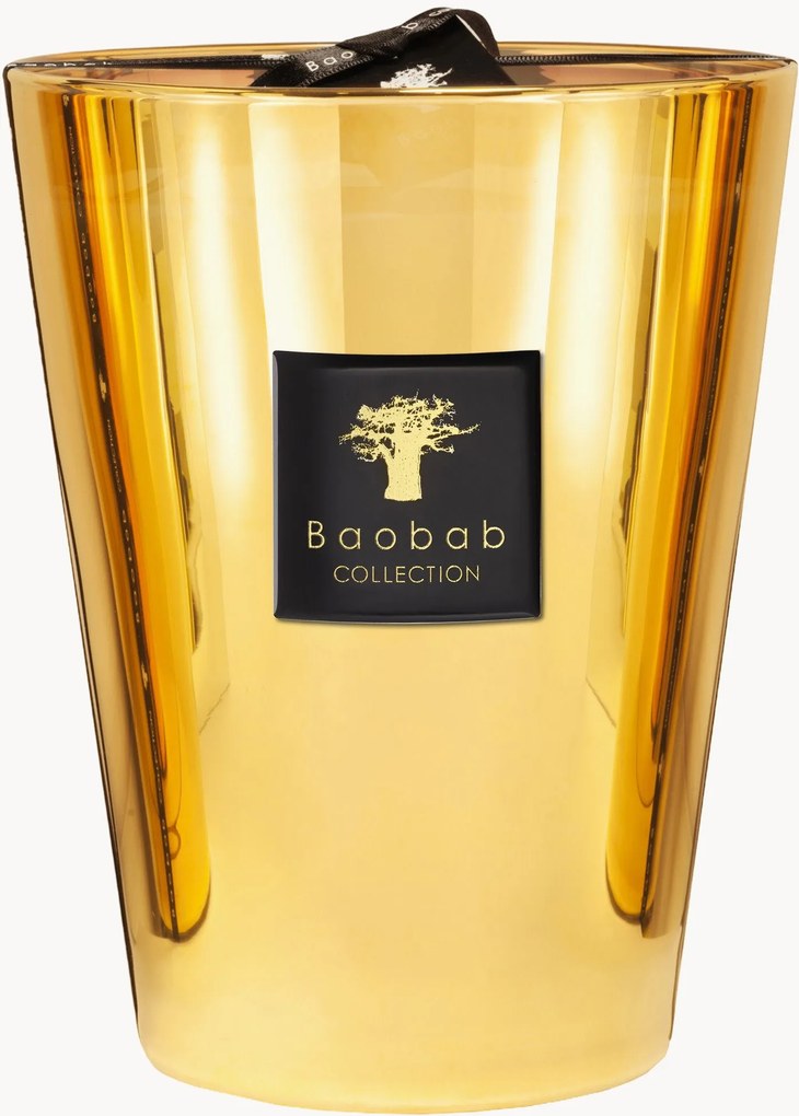 Vela perfumada com cinco pavios Exclusives (jasmim, gálbano, almíscar)