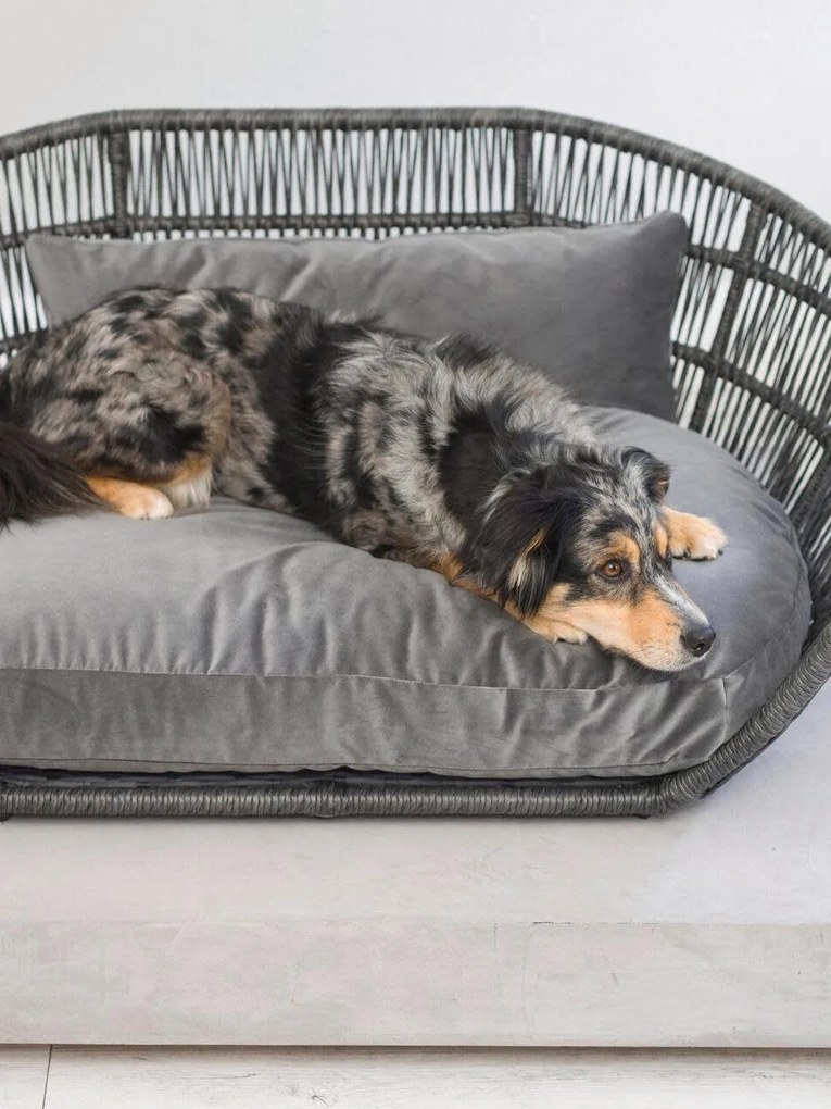 Cama para cão para interior e exterior Prado