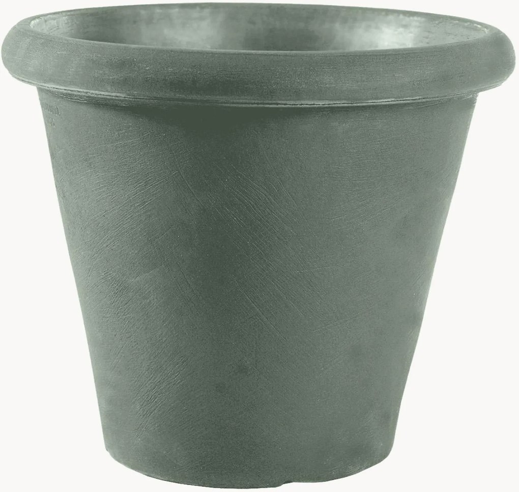 Vaso Camelia