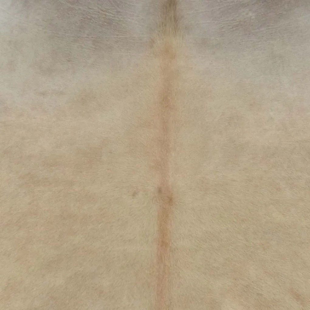 Tapete em pele de vaca genuína 150x170 cm bege