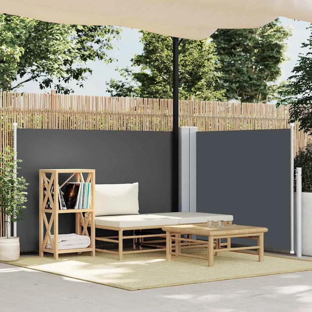 vidaXL Toldo lateral retrátil 120x600 cm antracite