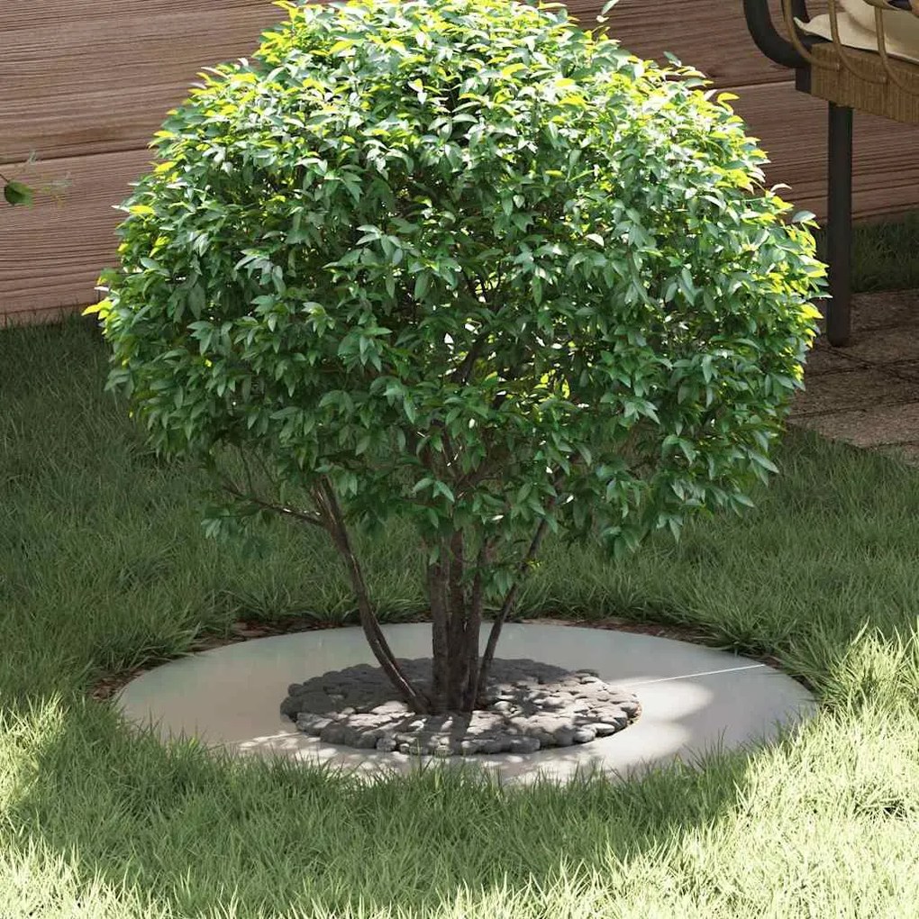 vidaXL Anel para árvores plano Ø30/60 cm em aço galvanizado