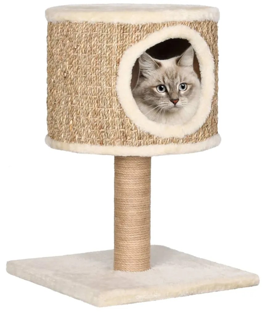 170972 vidaXL Árvore p/ gatos c/ ninho e poste arranhador 52 cm erva marinha