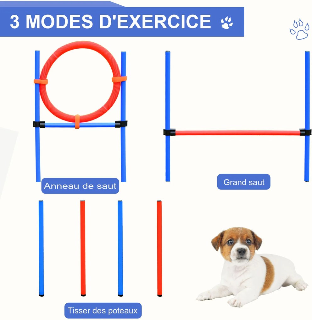 Equipamento completo de agility para cães: obstáculos e treino – conjunto de 11 peças para percurso de agility, com bolsa de transporte em aço vermelh
