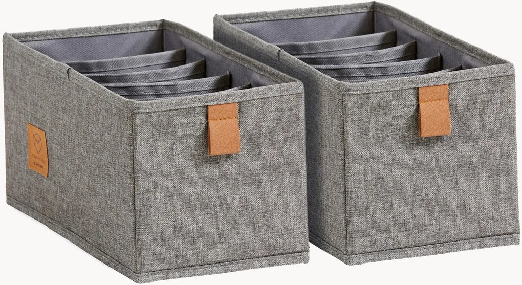 Organizadores com 6 compartimentos Premium, conjunto de 2