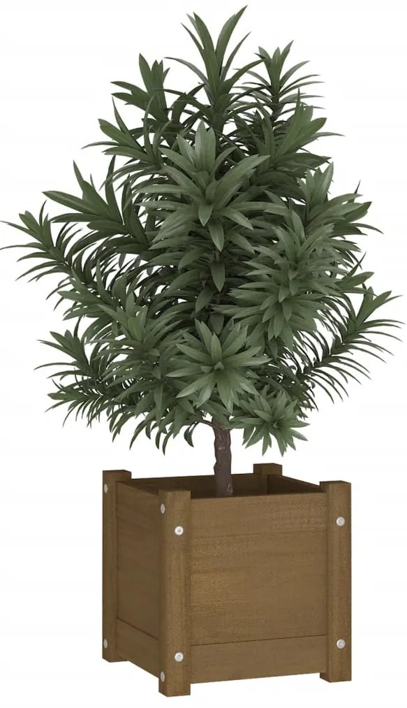 Vaso/floreira de jardim 31x31x31 cm pinho maciço castanho-mel