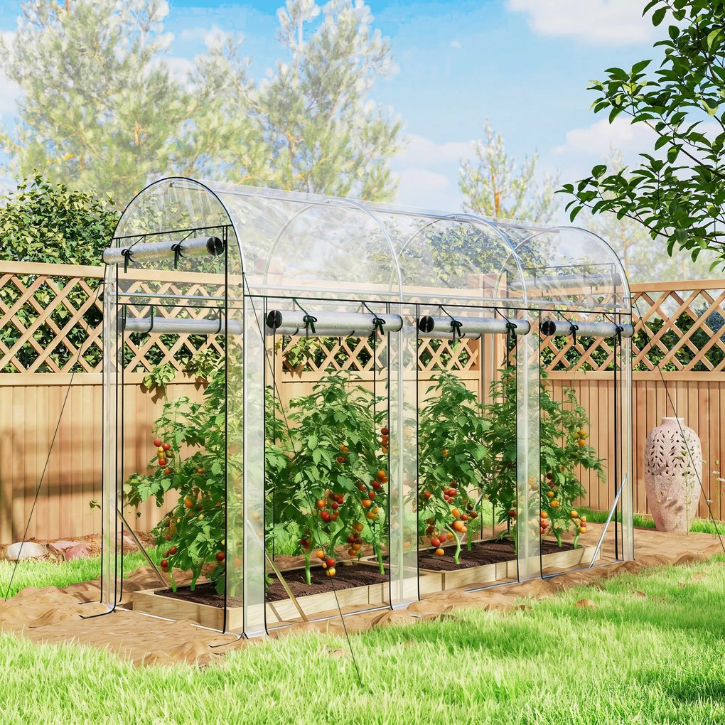 Estufa Tipo Túnel 3x1x2 m com 8 Portas Enroláveis e Estrutura de Aço Galvanizado Anti-UV Transparente