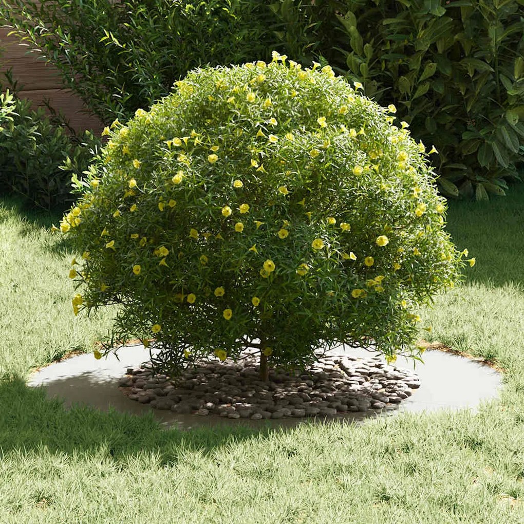 Plantadeira de Metal Branca Branca Metal 80 cm de diâmetro