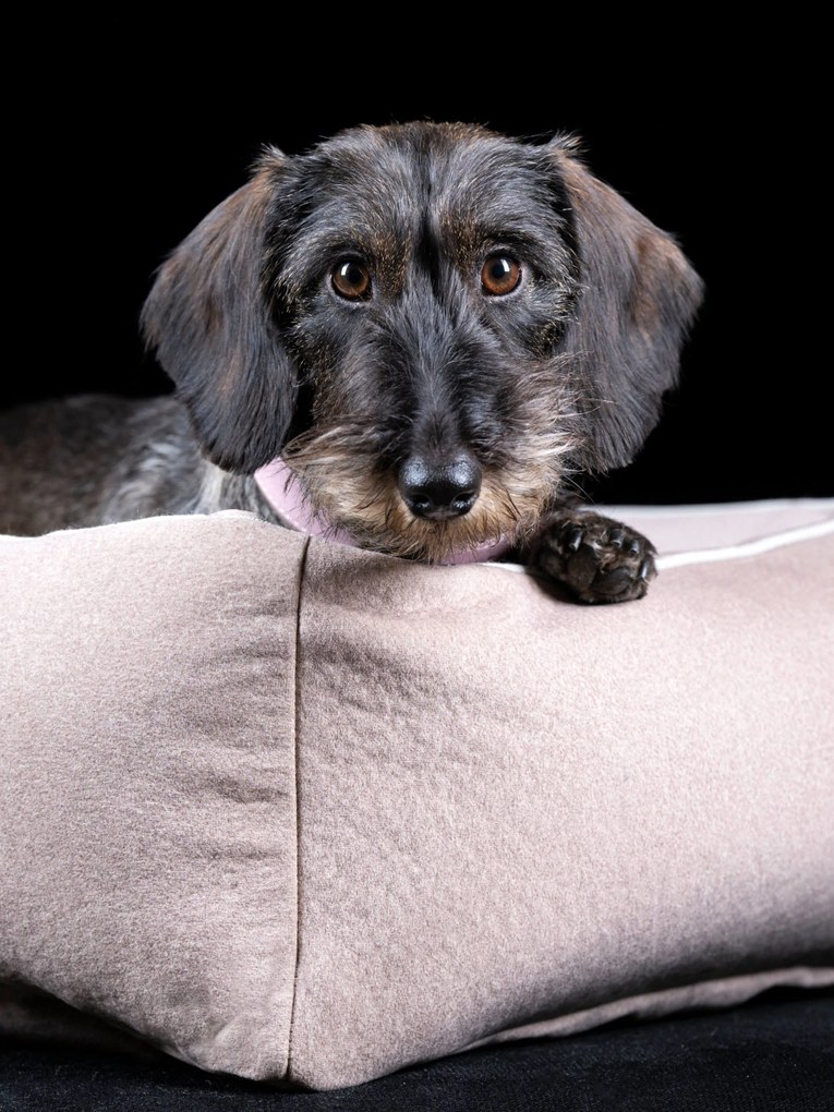 Cama para cães em veludo Classic, vários tamanhos