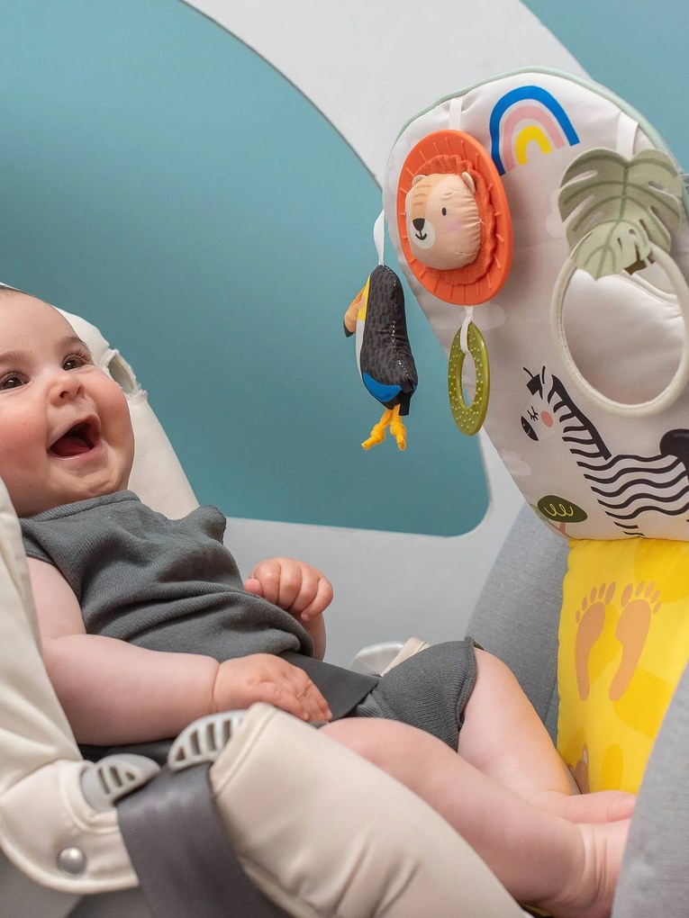 Centro de atividades para carro Savana - TAF TOYS multicolor