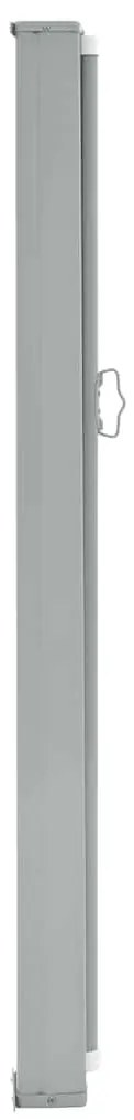 Toldo lateral retrátil para pátio 160x300 cm cinzento