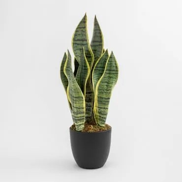 Planta Artificial Decorativa Sansevieria 40 Cm - Sklum