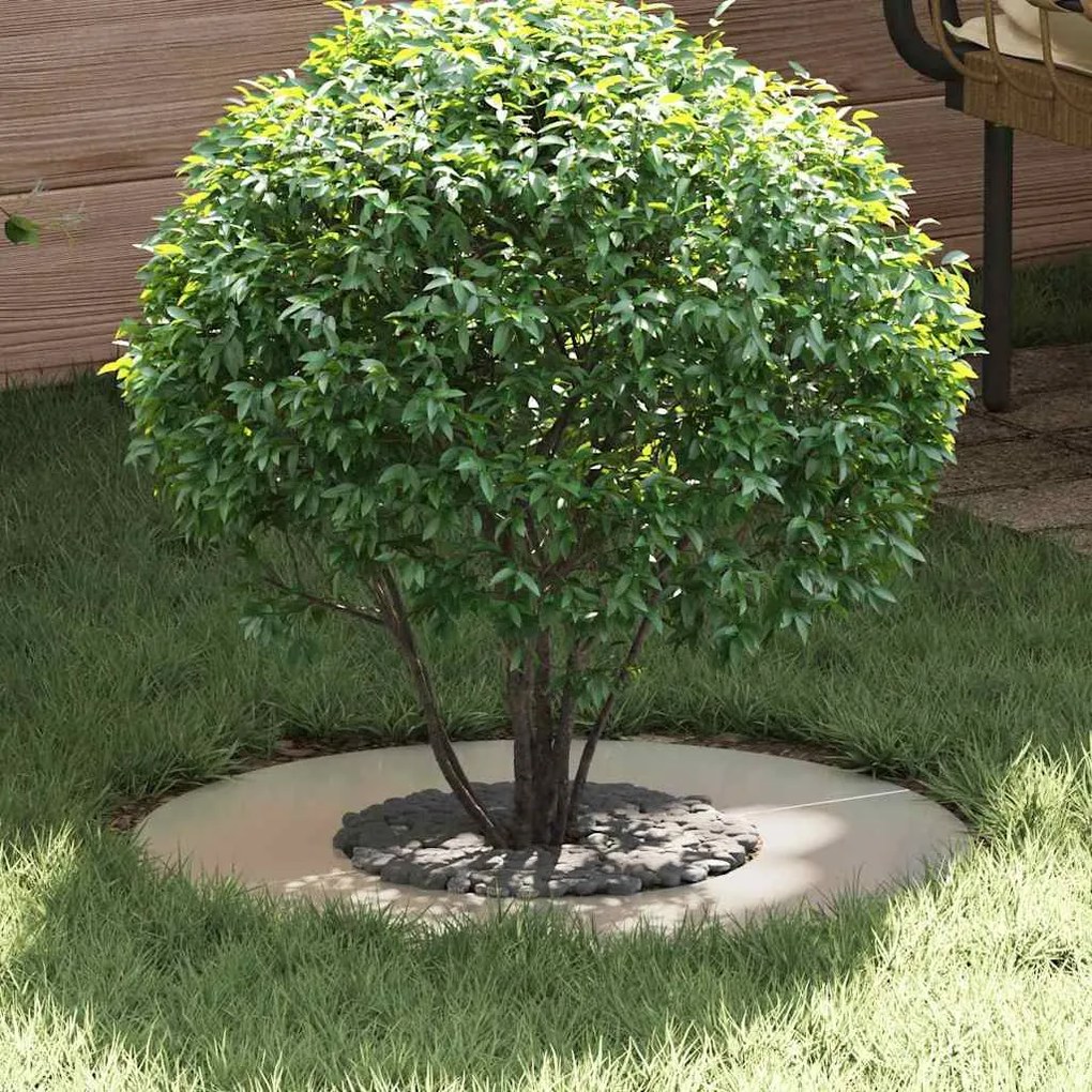 vidaXL Anel de Árvore Planta Nossa Ø30/60 cm em Aço Inoxidável