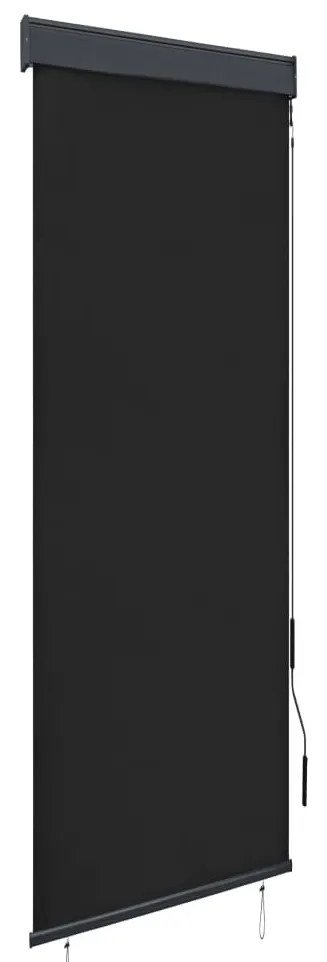 vidaXL Estore de rolo para exterior 60x250 cm antracite