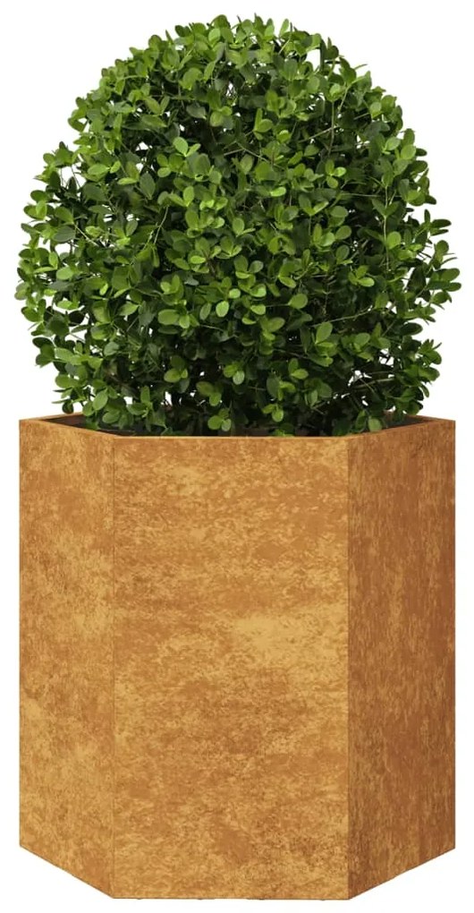 Vaso floreira de jardim hexagonal 46x40x45cm resistência ao aço