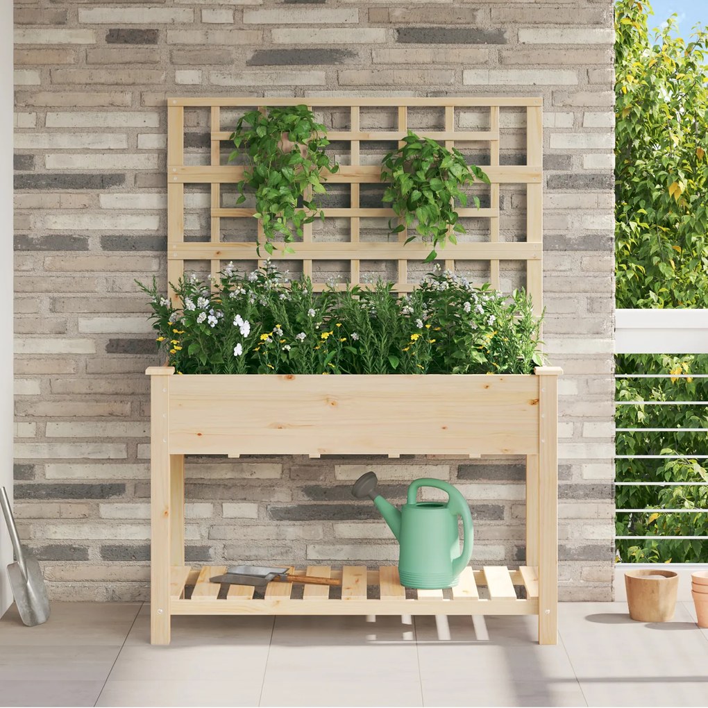 Plantador de Jardim vidaXL com Treliça e Estante 115x59x152 cm de Madeira Sólida de Abeto