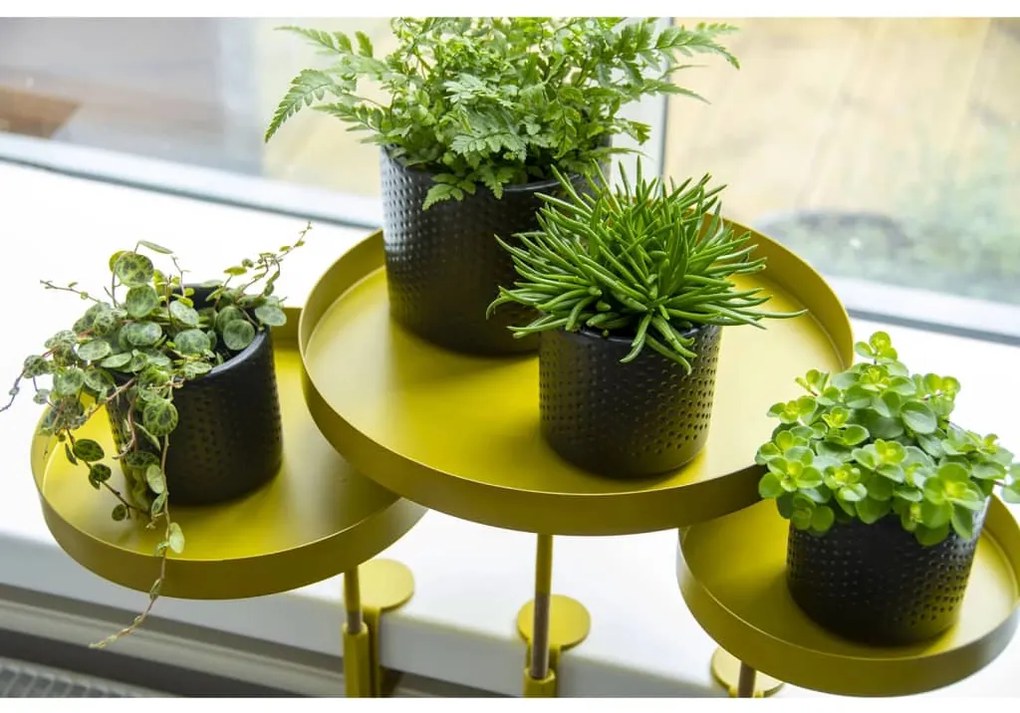 Tabuleiro p/ plantas redondo com braçadeira L dourado