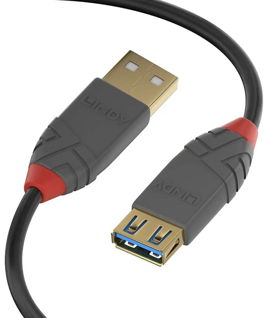 Cabo USB Lindy 36761 Preto 1 M (1 Unidade)