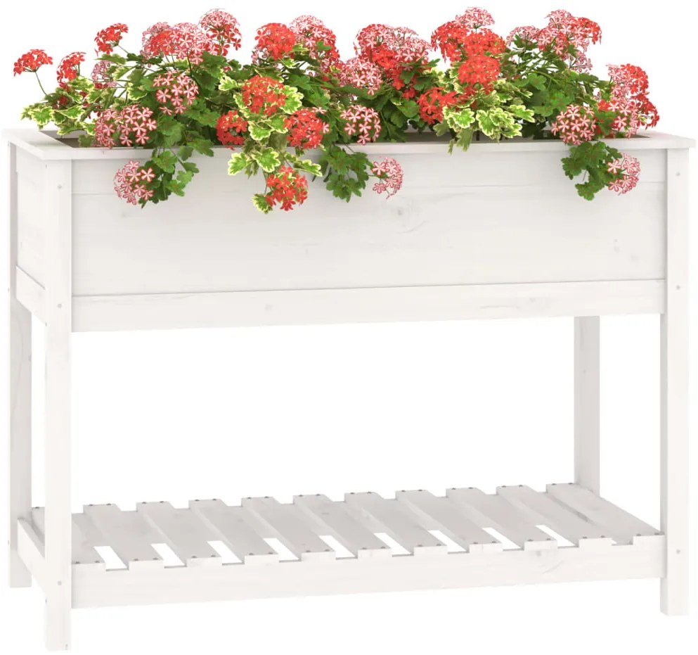Vaso/floreira com prateleira 111,5x54x81 cm pinho maciço branco