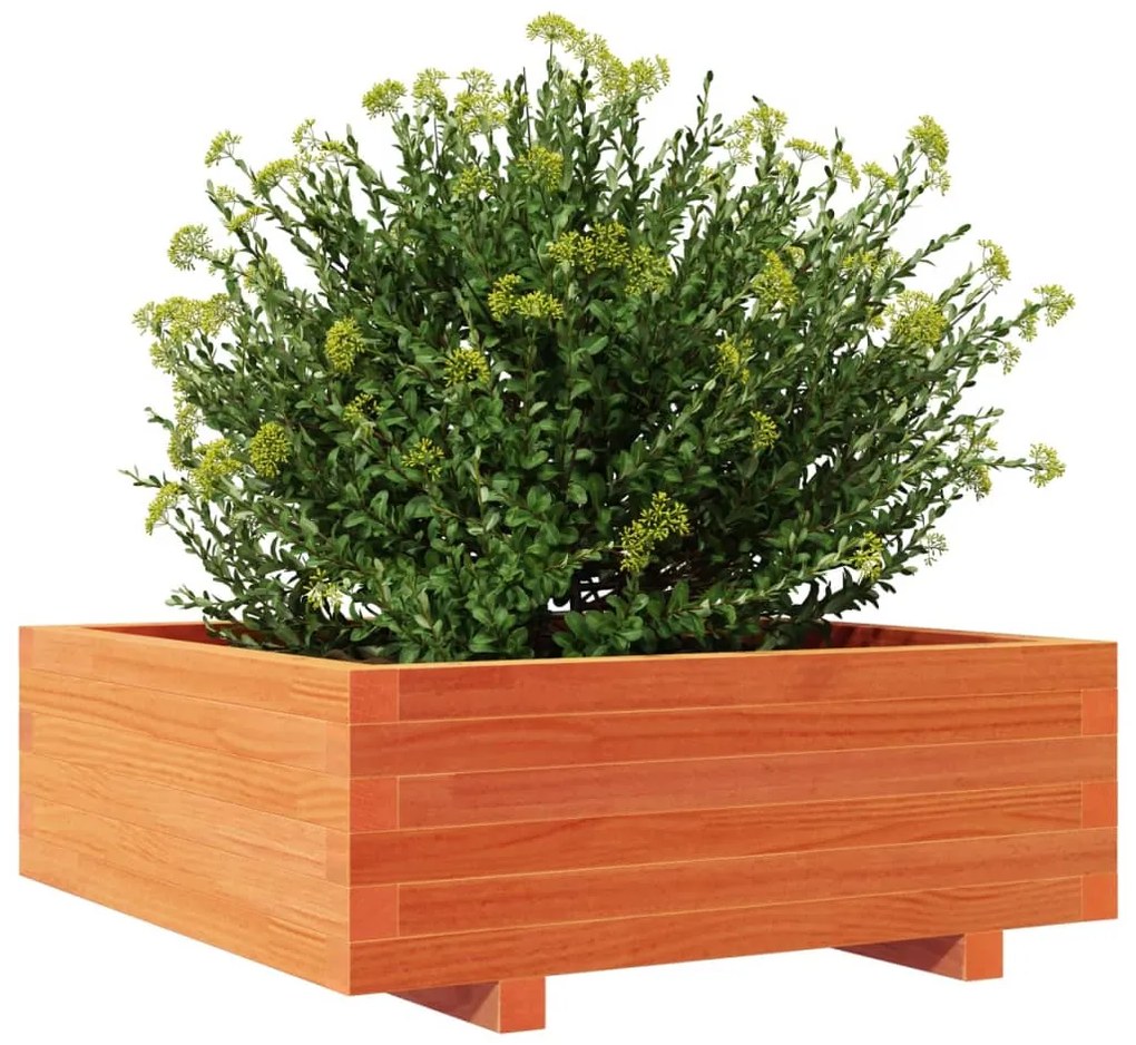 Vaso/floreira de jardim 70x70x26,5 cm pinho maciço castanho-mel