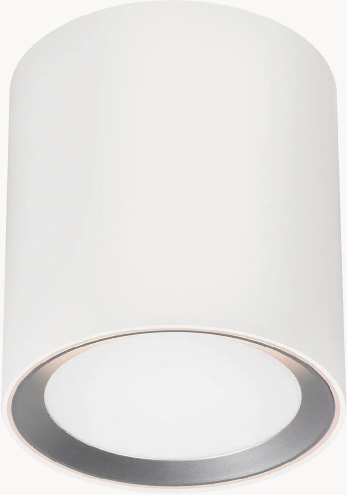 Candeeiro de teto LED regulável Landon