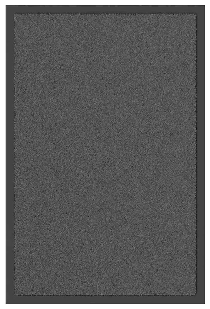 vidaXL Tapete de porta 40x60 cm antracite