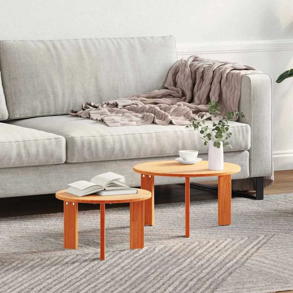 vidaXL Mesa de centro 2 pcs Castanho-mel 47.5 x 47.5 x 27 cm