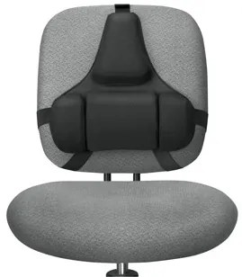 Apoio Lombar Ergonomico Profissional Fellowes
