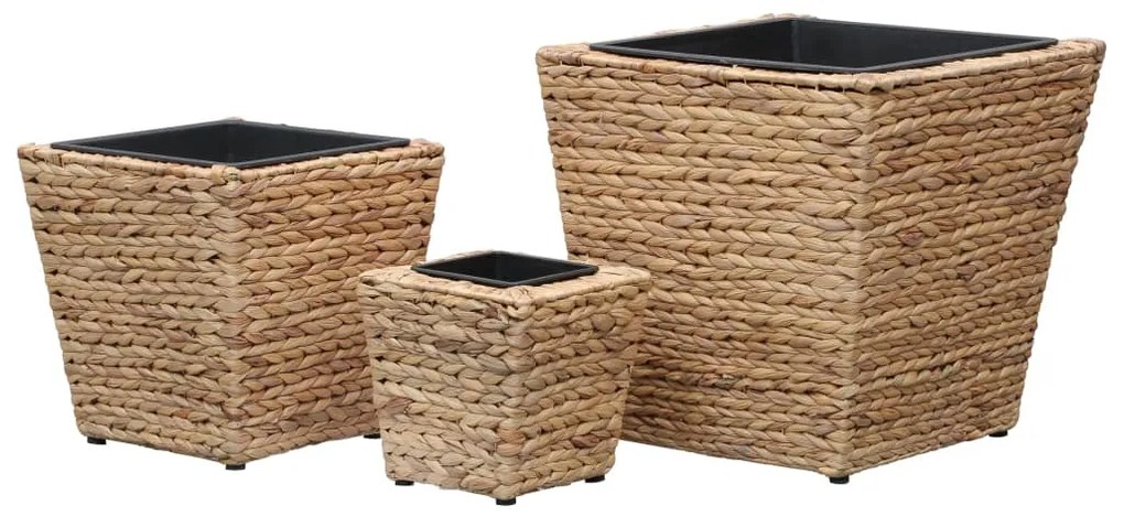 Vasos/floreiras 3 pcs jacinto de água