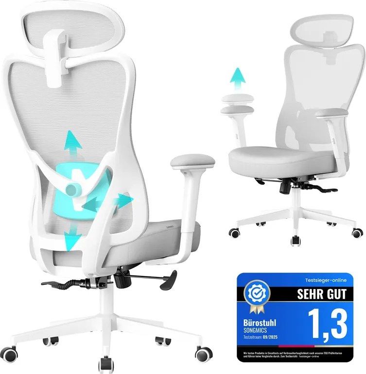 Cadeira de escritório ergonómica com apoio ajustável cinzento