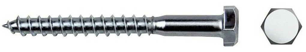 Caixa de Parafusos Celo (8 X 60 mm)