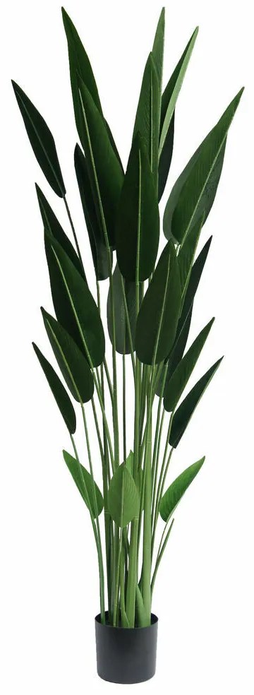 Planta Decorativa DKD Home Decor Poliéster Verde PP (80 x 80 x 180 cm)