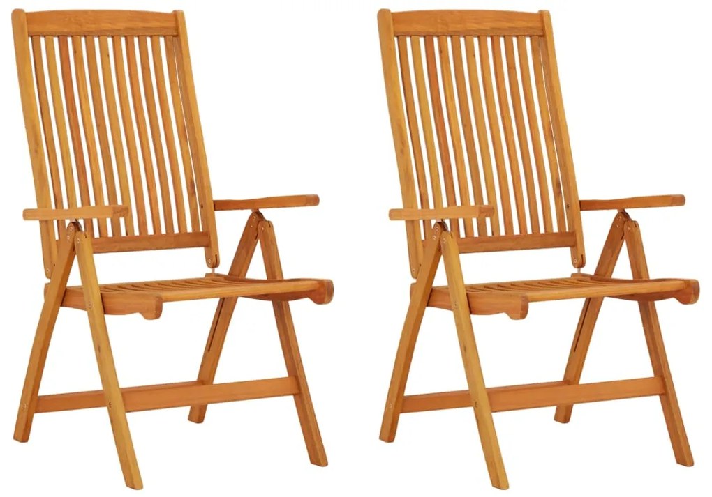 vidaXL Cadeiras de jardim dobráveis 2 pcs madeira de eucalipto maciça