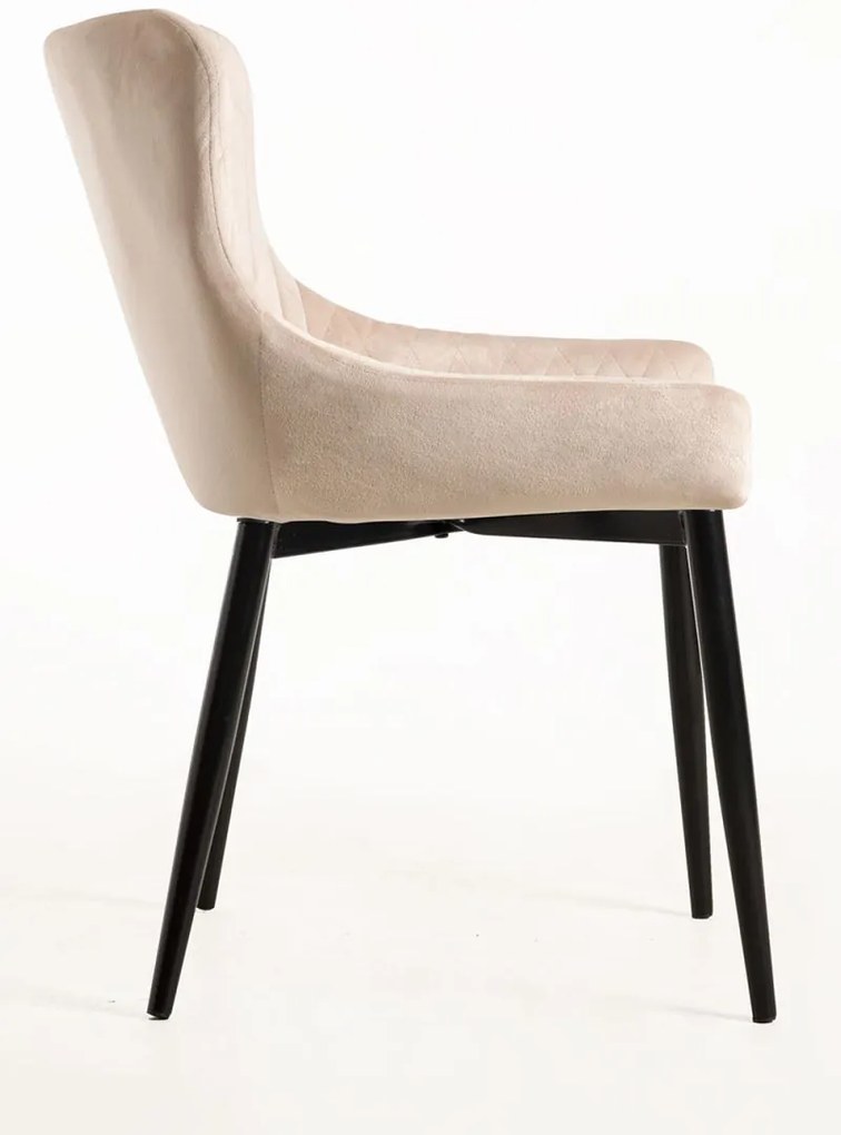 Pack 6 Cadeiras Sanda Veludo - Beige