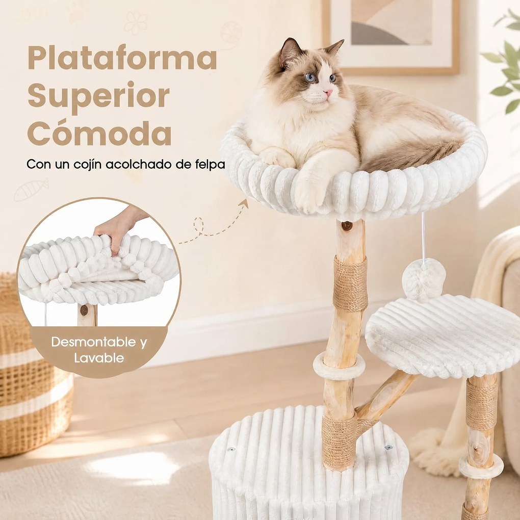 Arranhador para Gatos, 56 x 41 x 105 cm, Tronco de Madeira de Pereira, Bege