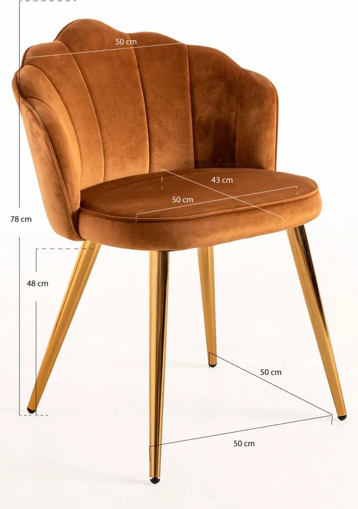 Cadeira Blume Gold Veludo - Castanho Claro